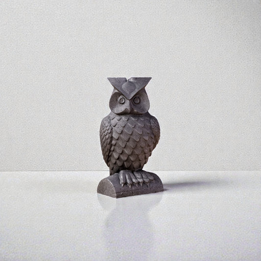 Shungite Owl Lucky Charm – Protection & Wisdom