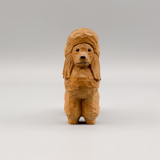 Brown Poodle