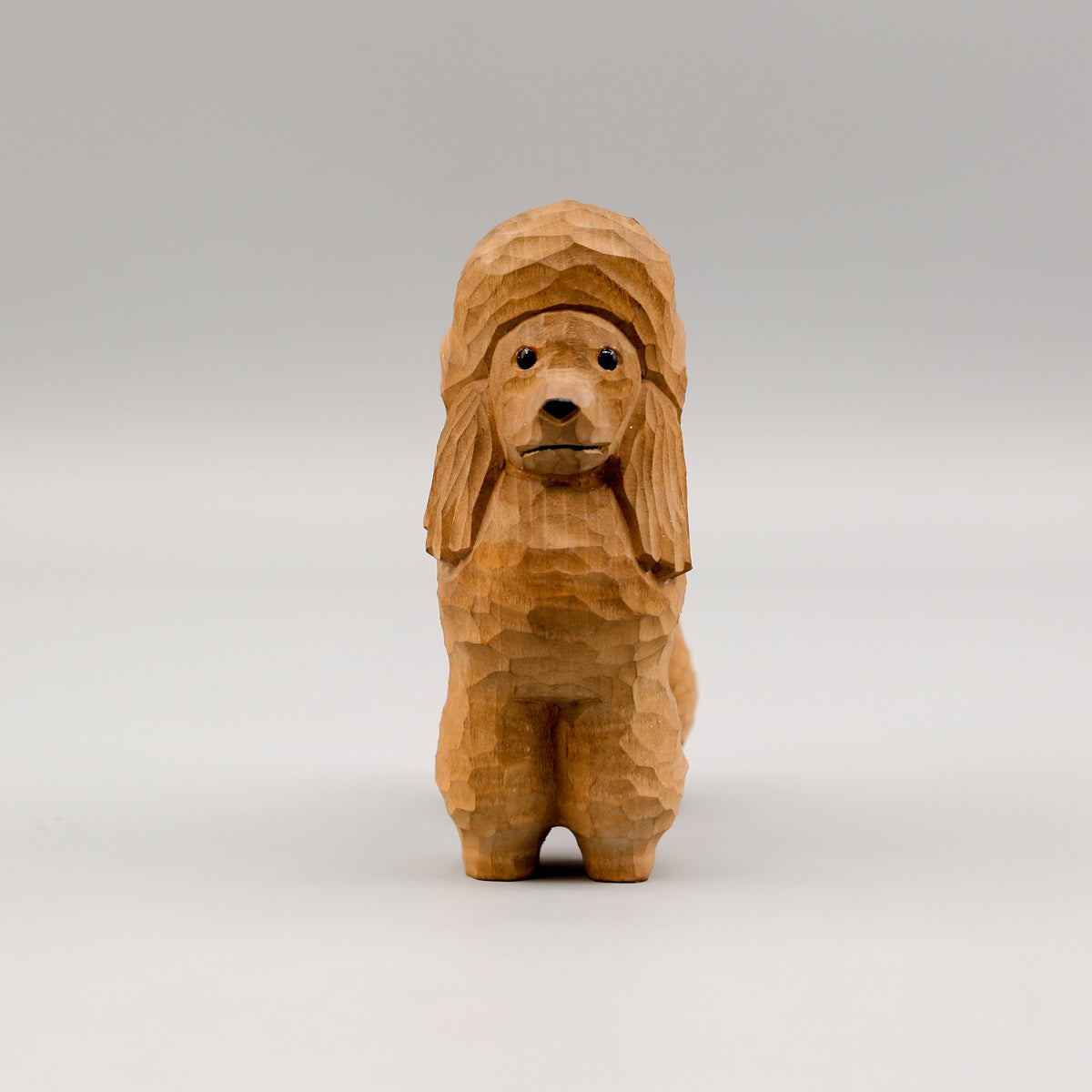 Brown Poodle