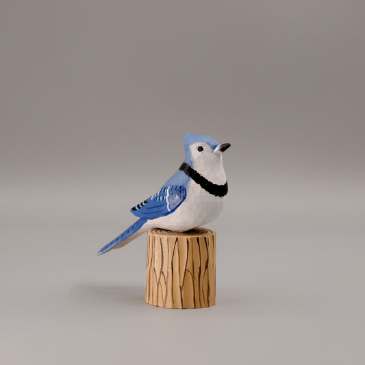 Blue Jay