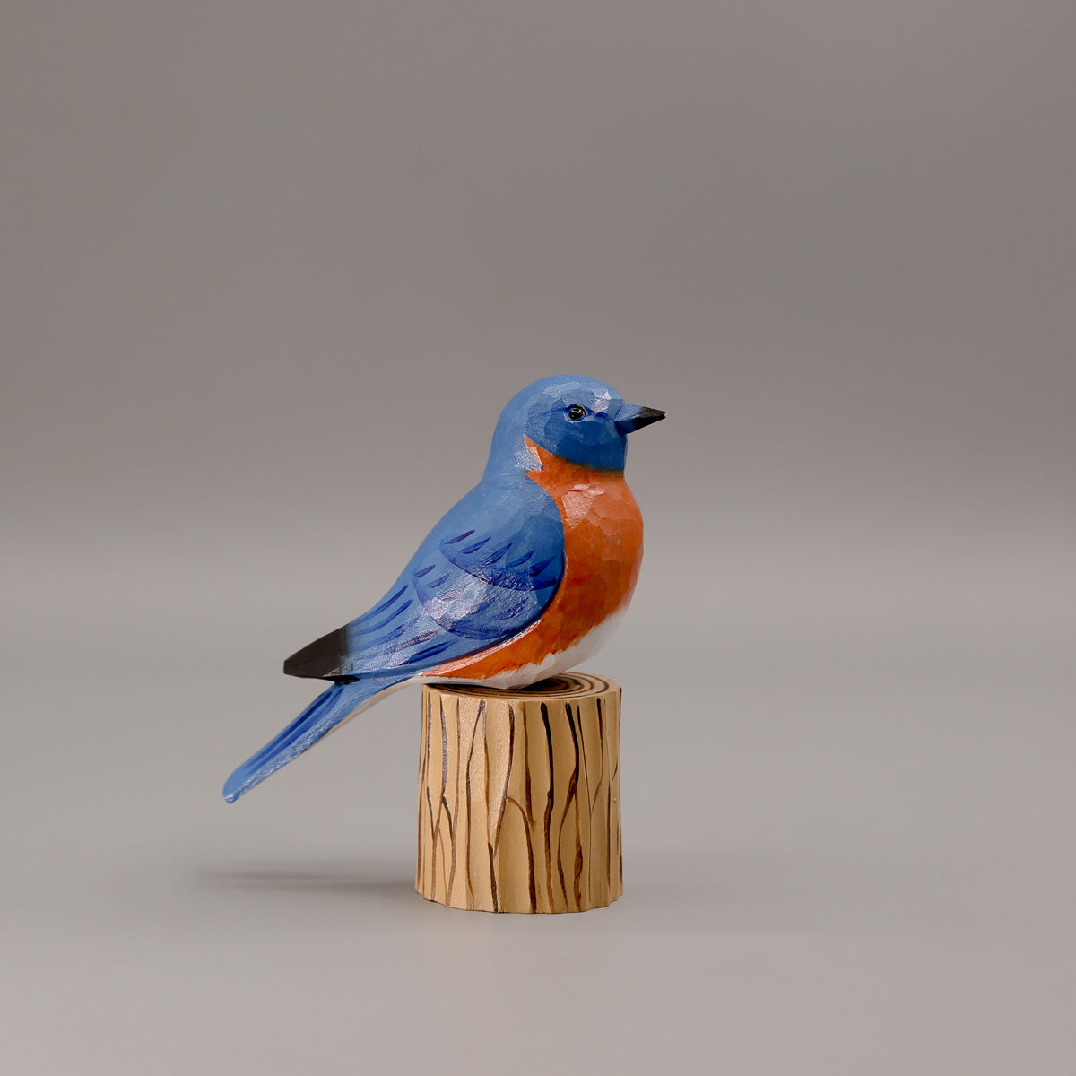 Eastern Bluebird