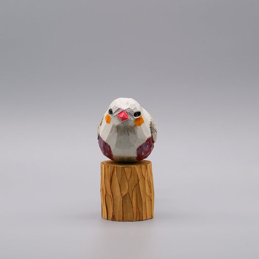 Classic Grey Zebra Finch