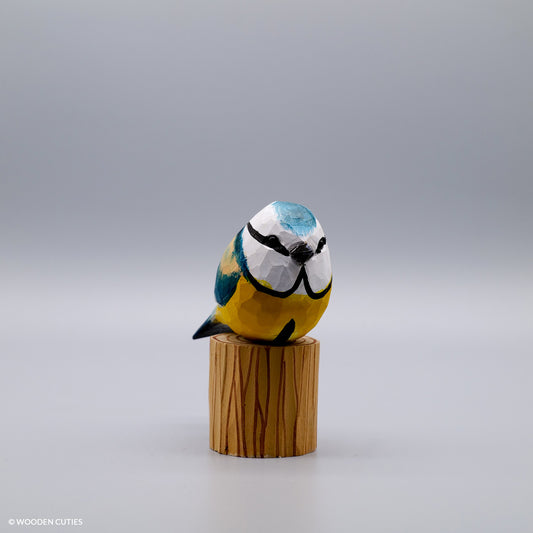 Blue Tit