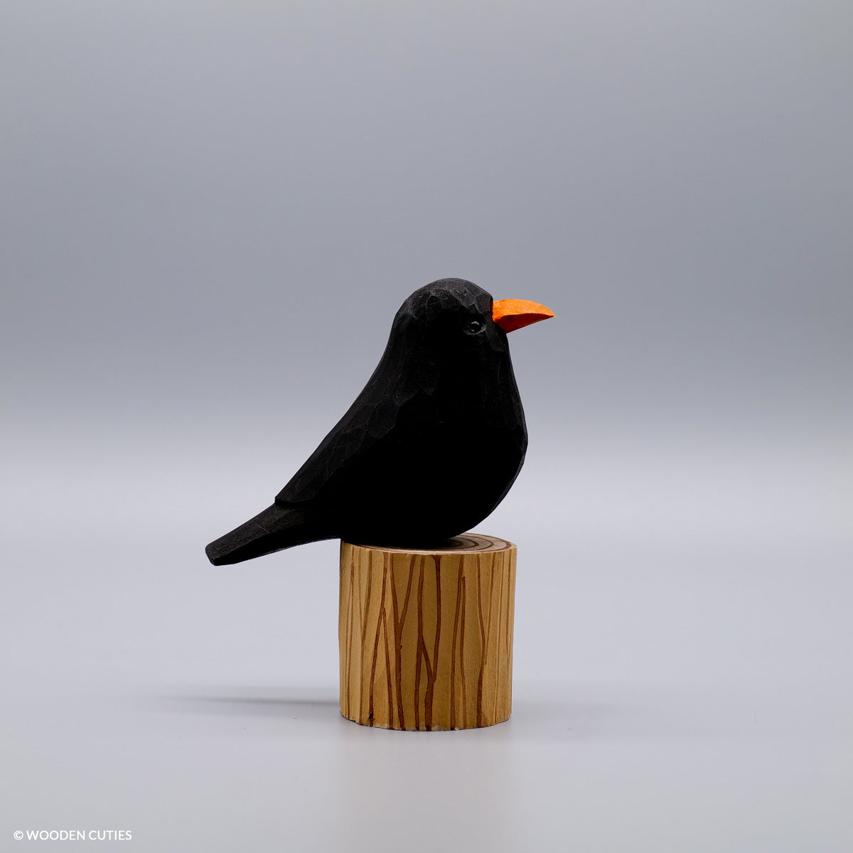 Set of 20 Birds