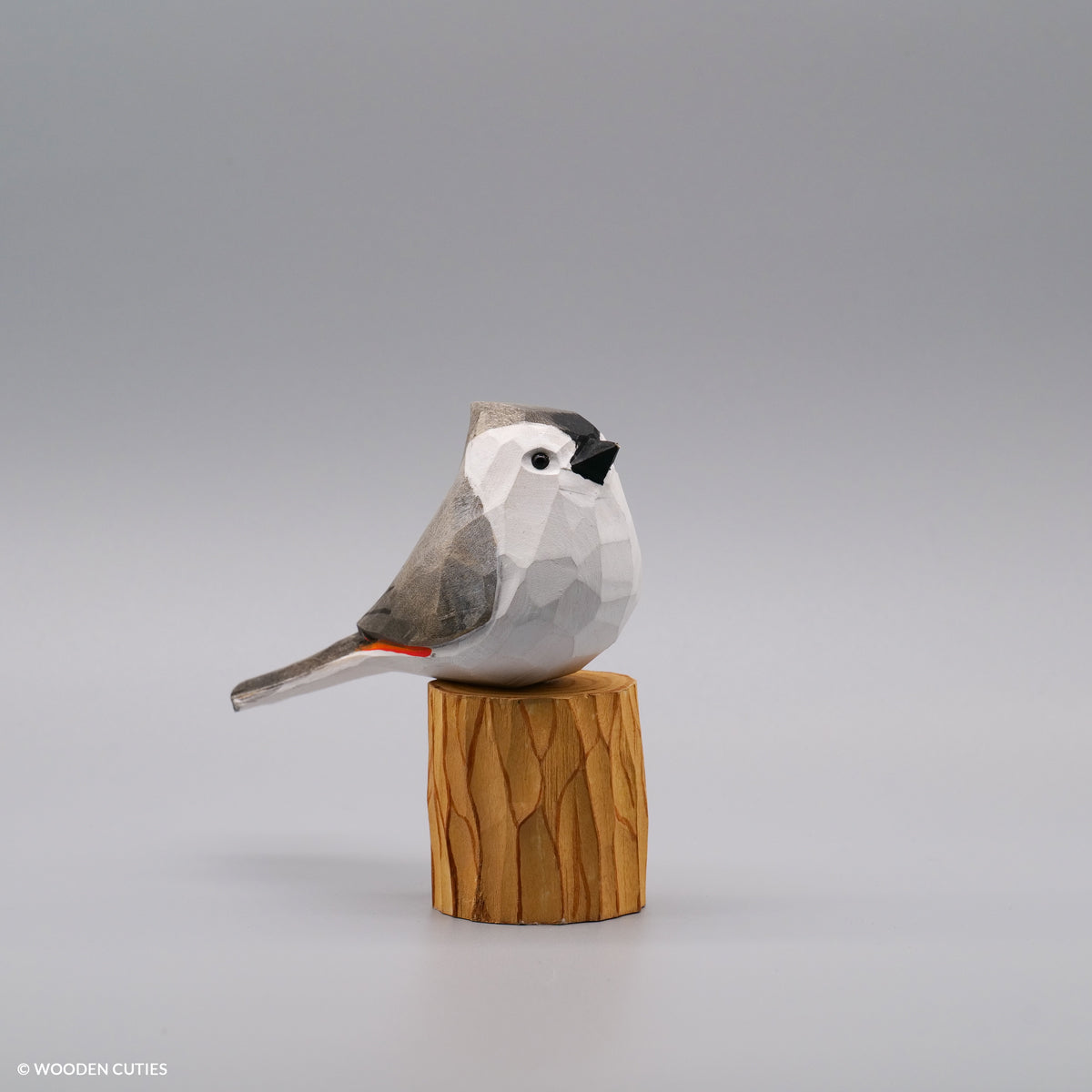 Set of 6 Classic Birds