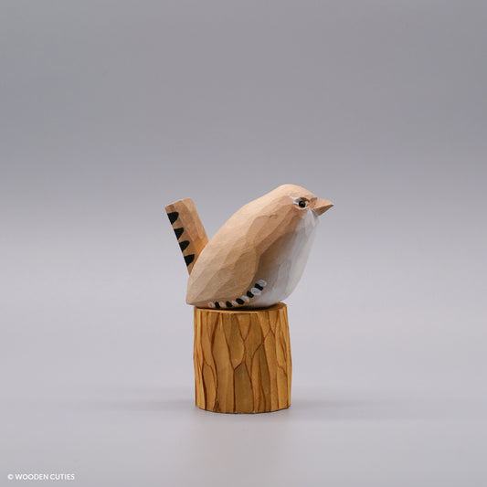Set of 30 Birds