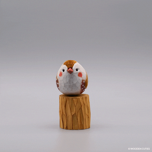 Classic Male Zebra Finch