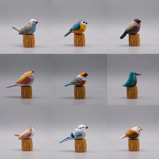 Collector Set of 9 Birds