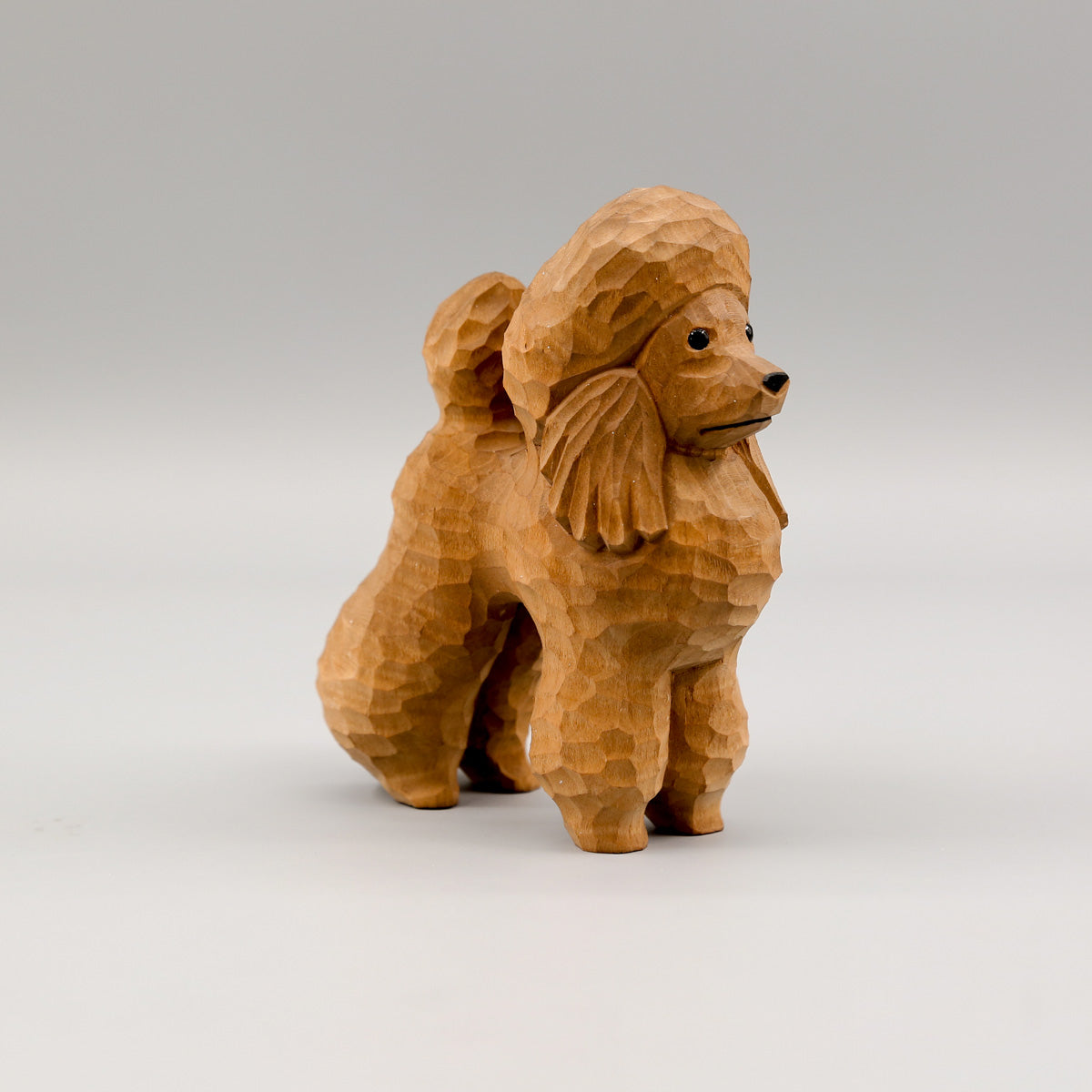 Brown Poodle