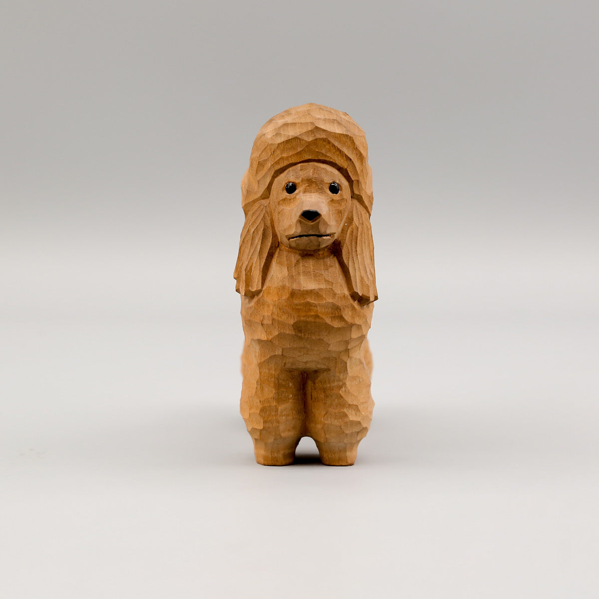 Brown Poodle