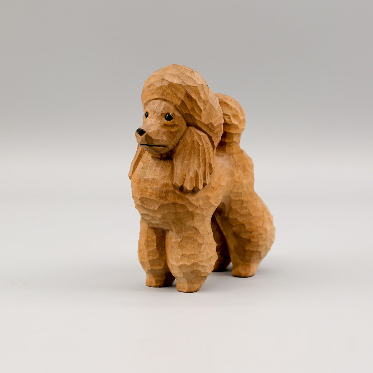 Brown Poodle