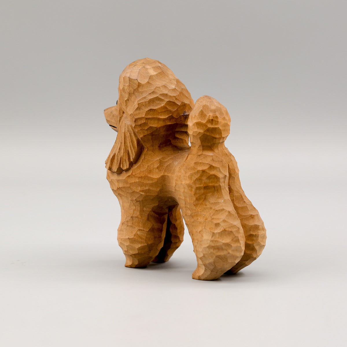 Brown Poodle