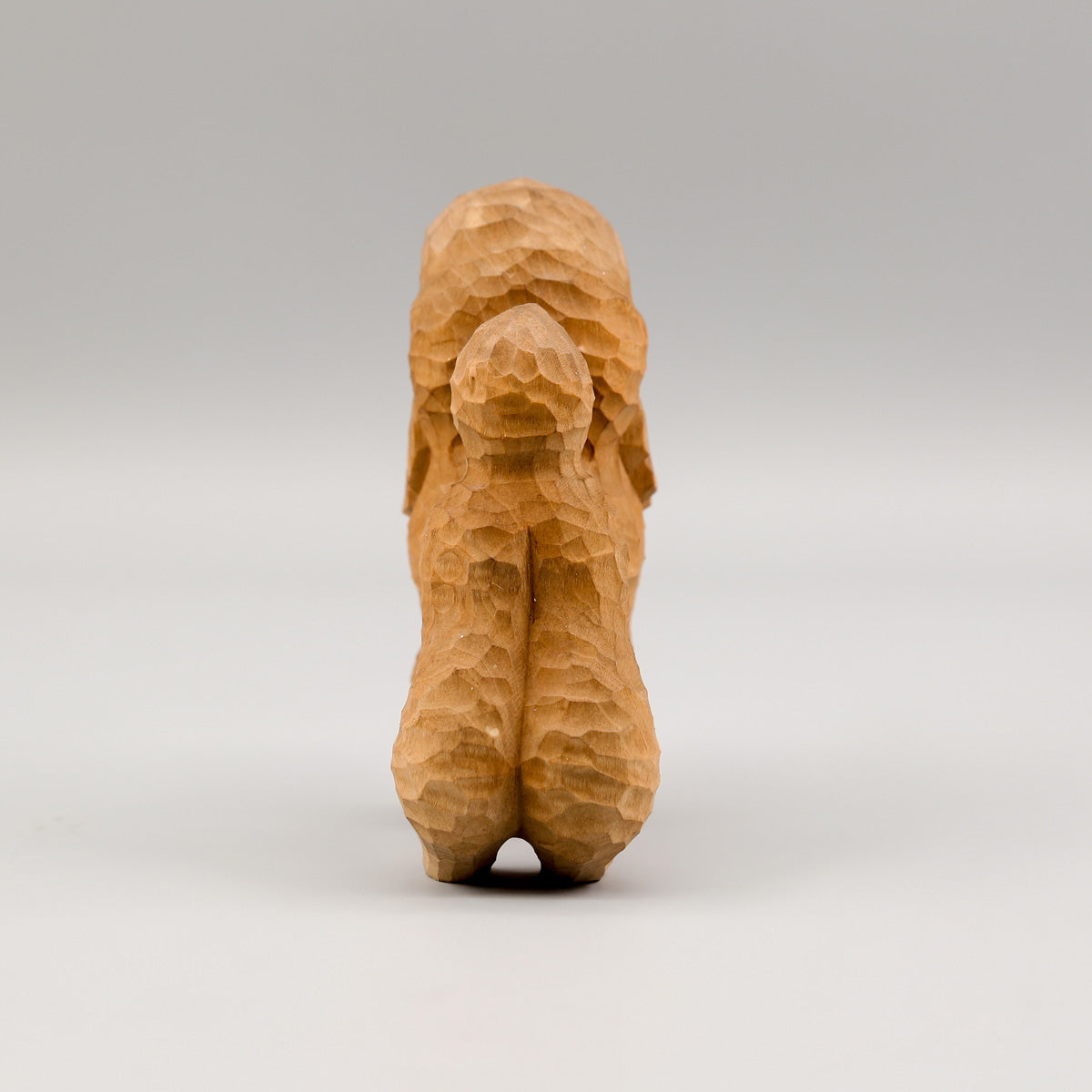 Brown Poodle
