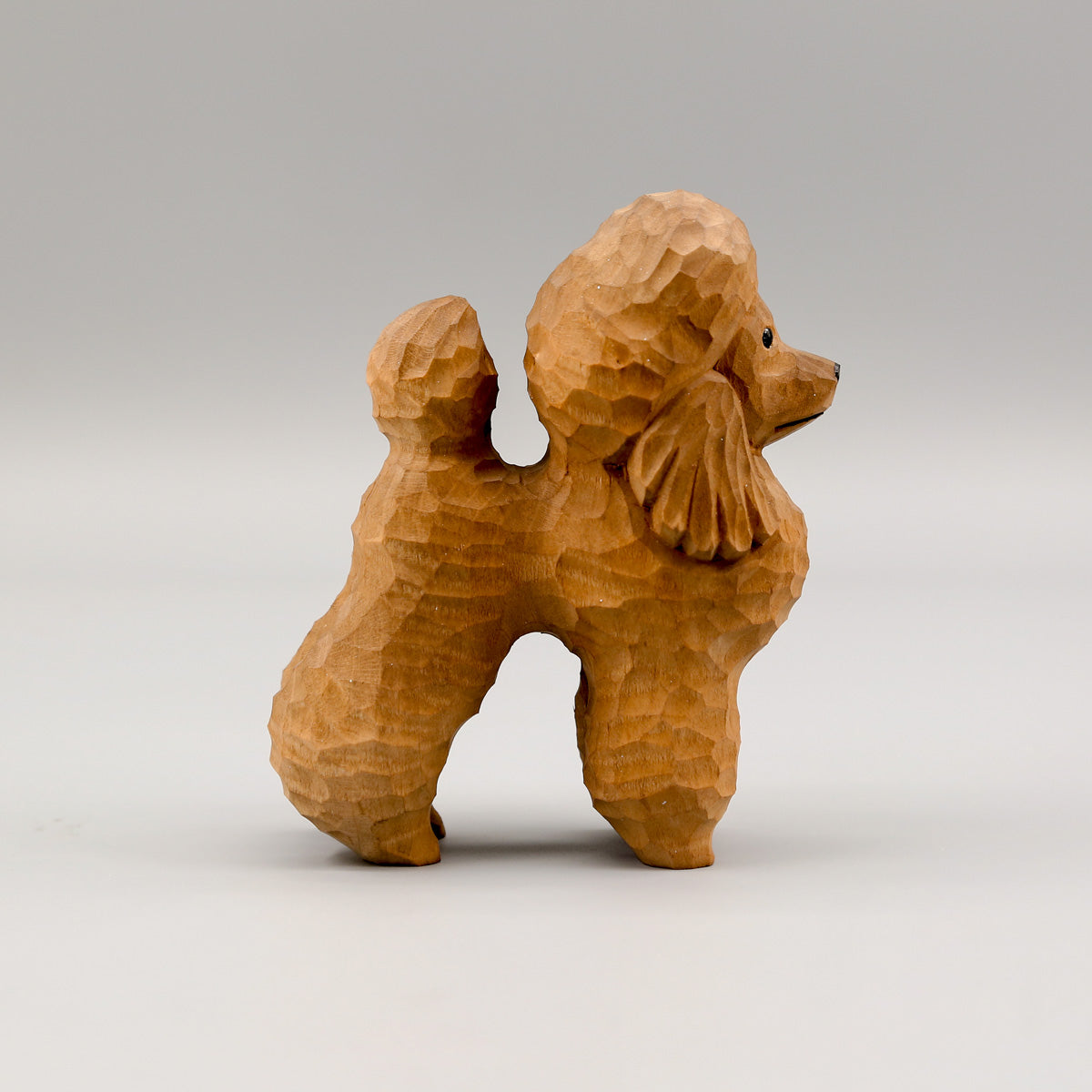 Brown Poodle