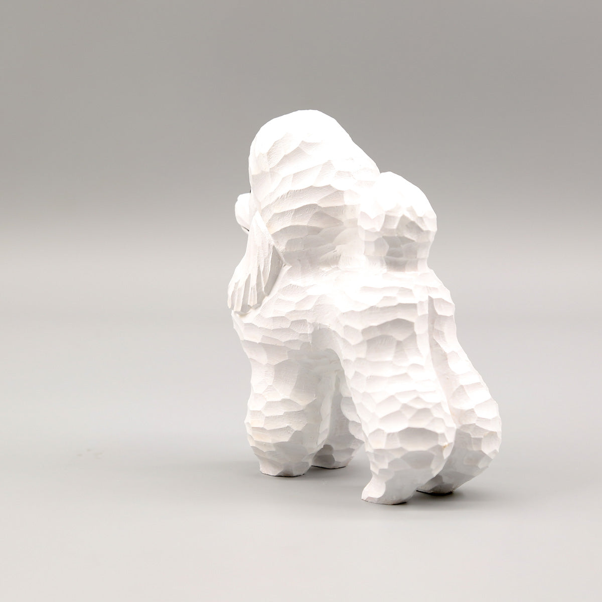 White Poodle