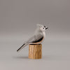 Tufted Titmouse