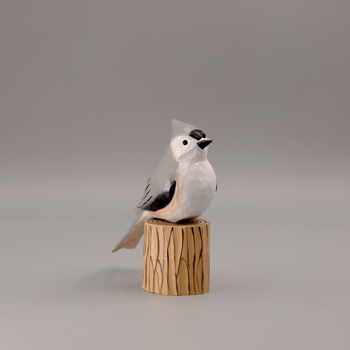 Tufted Titmouse
