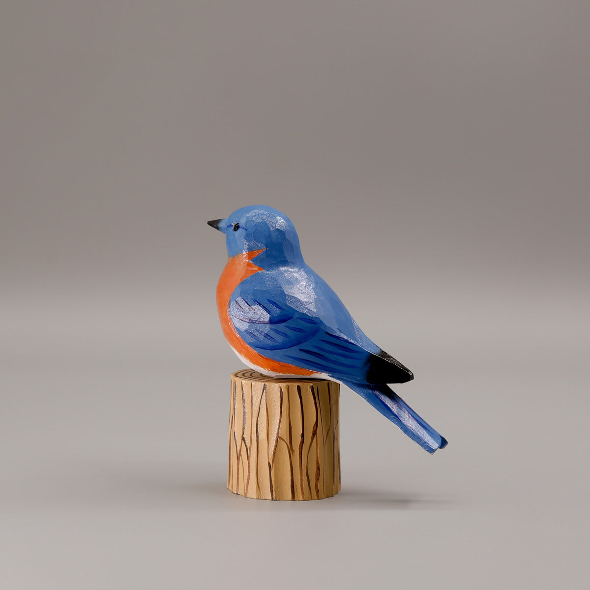 Eastern Bluebird