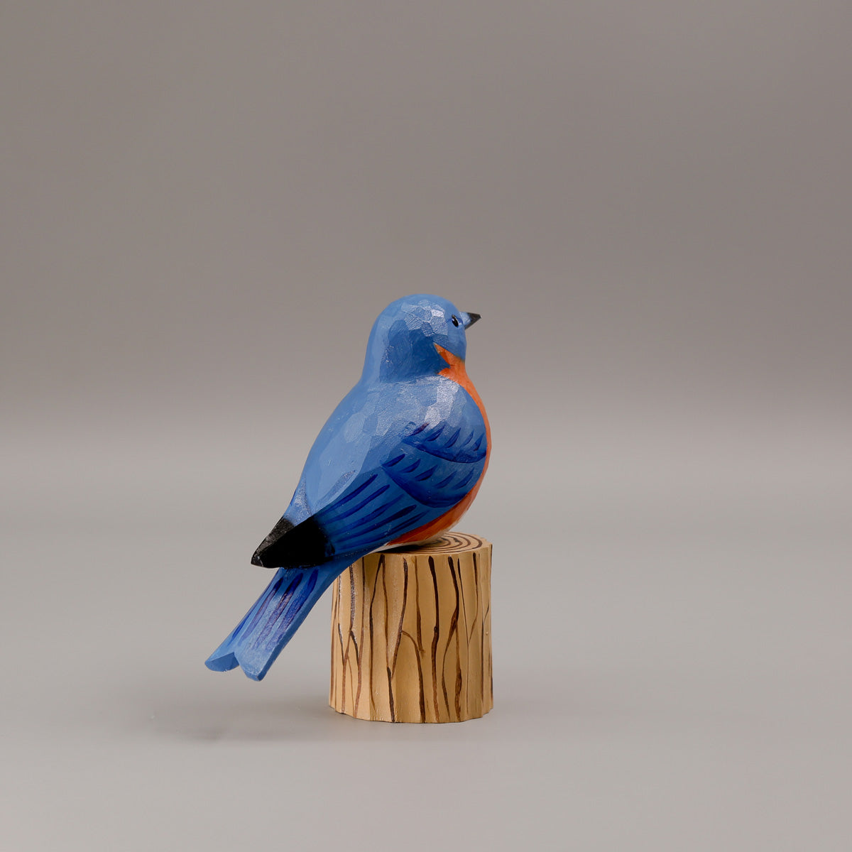 Eastern Bluebird