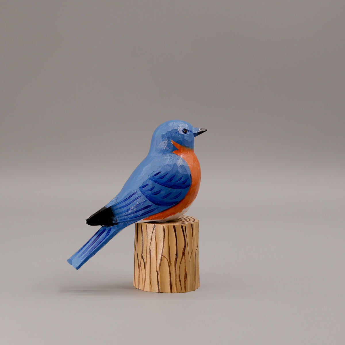 Eastern Bluebird