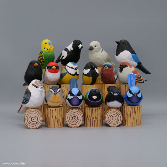 Set of 16 Birds
