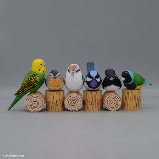 Set of 6 Birds