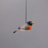 Robin Ornament