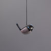 Superb Fairywren Ornament