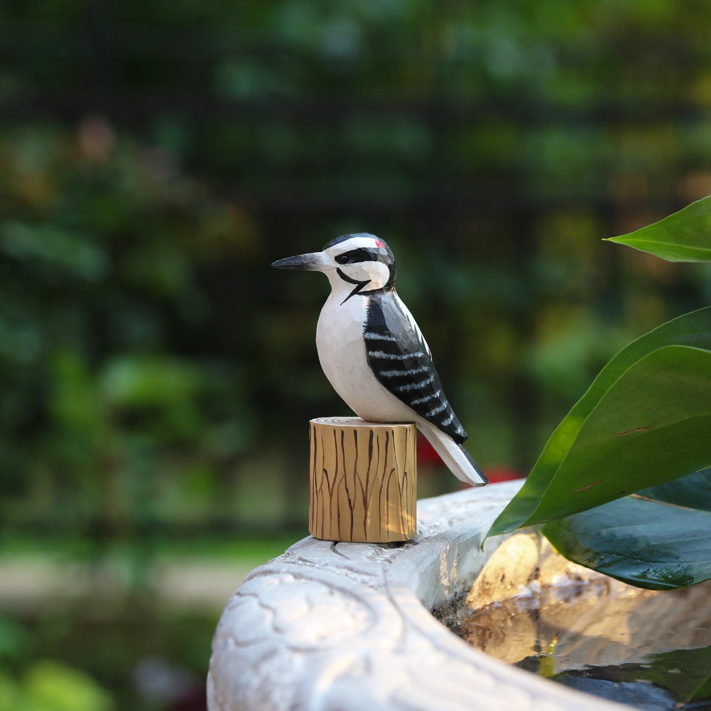 Woodpecker