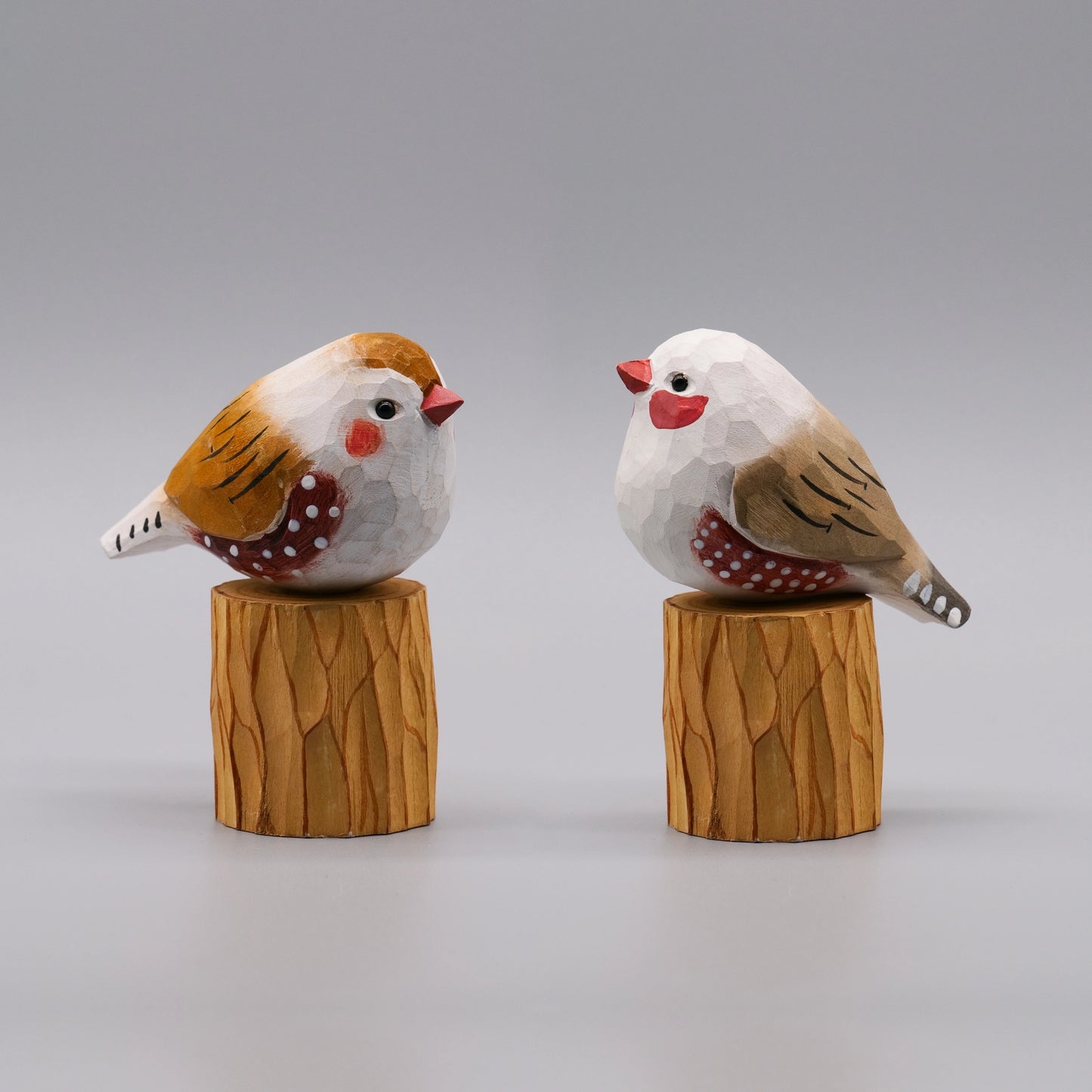 Male and Female Zebra Finch Set