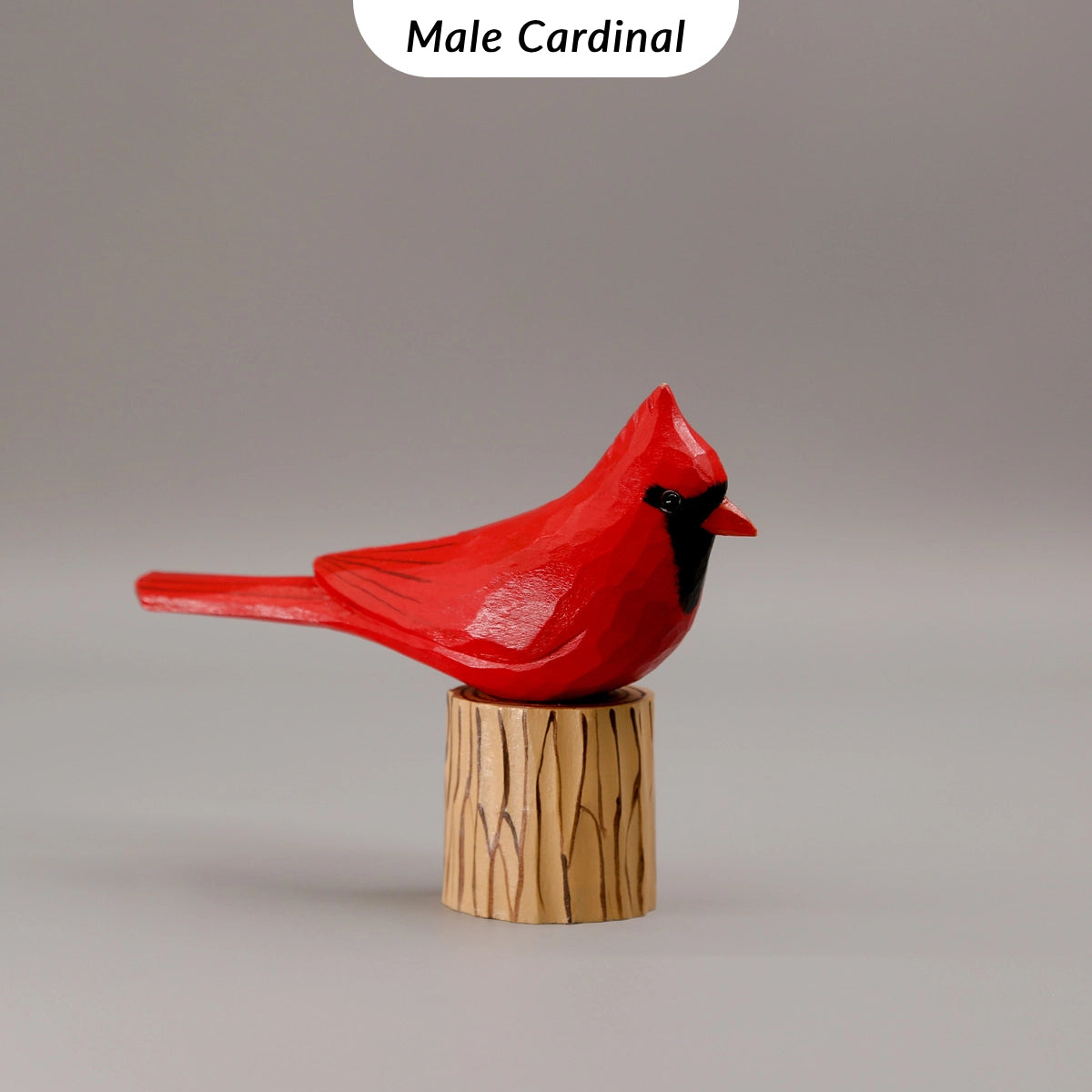 Male and Female Cardinals Set