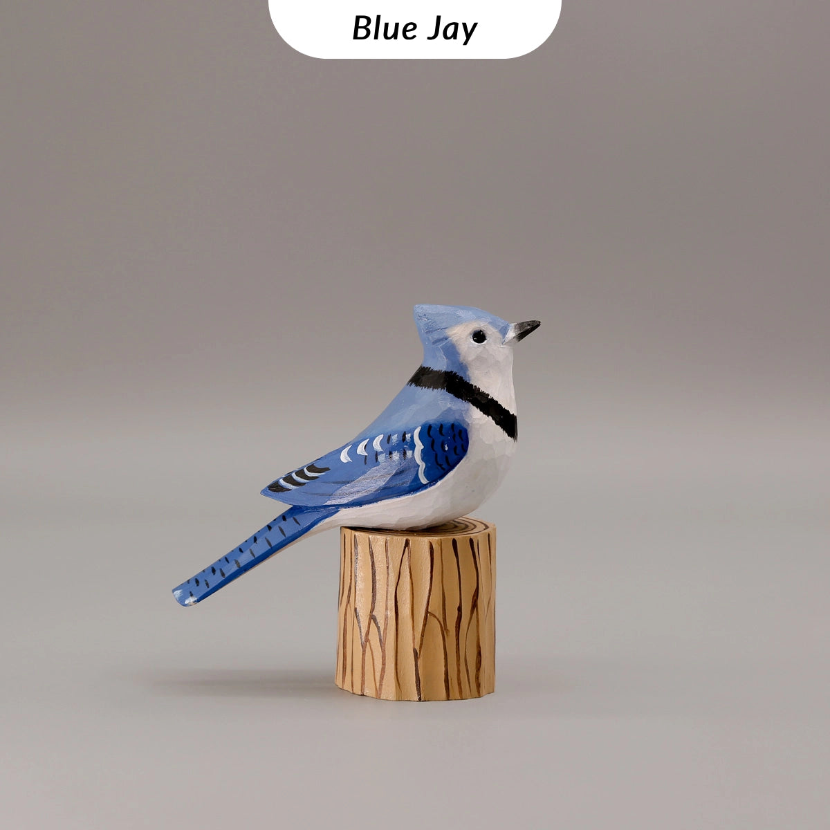 Set of 6 Signature Birds