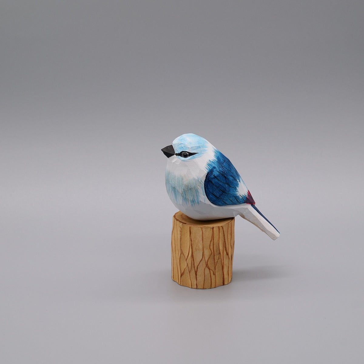 Classic Blue Jay