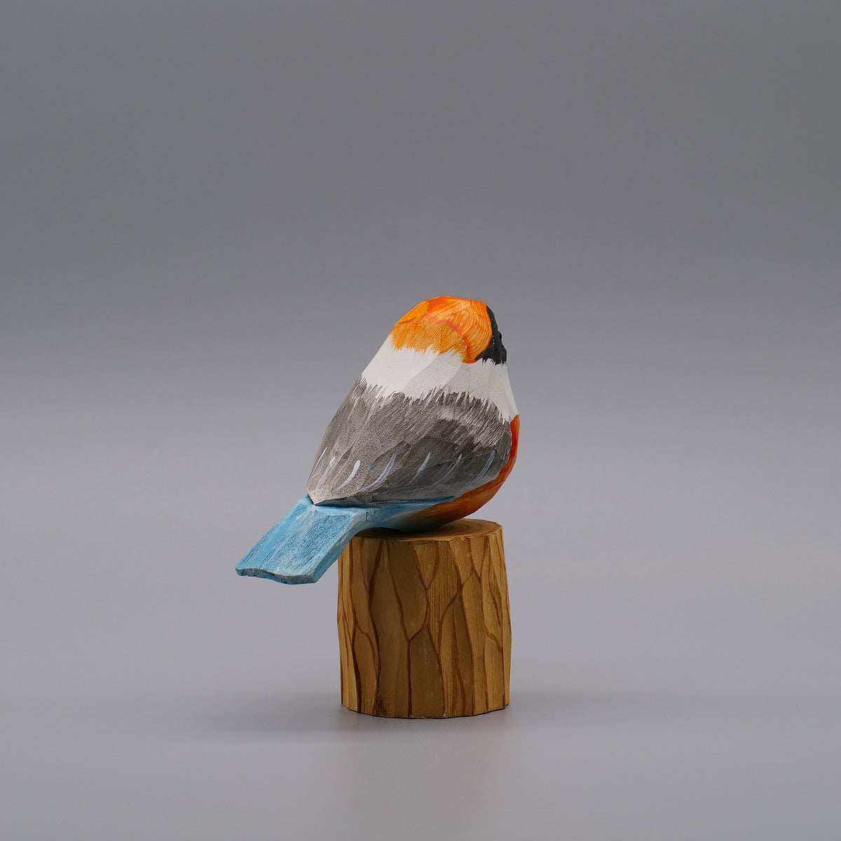 Classic Black-throated Bushtit