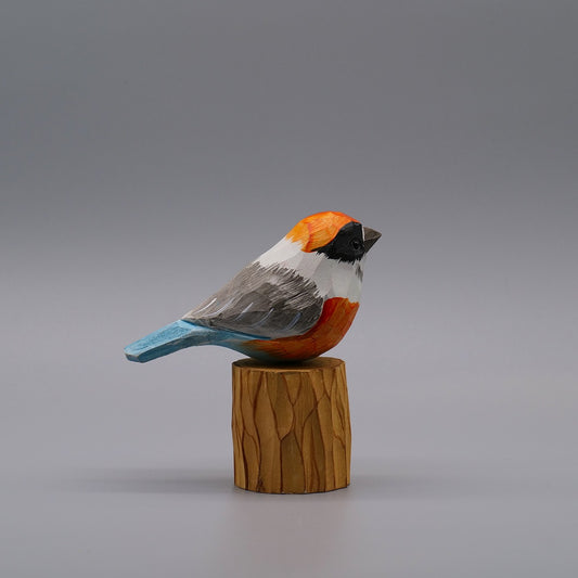 Black-throated Bushtit