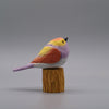 Classic Rosefinch