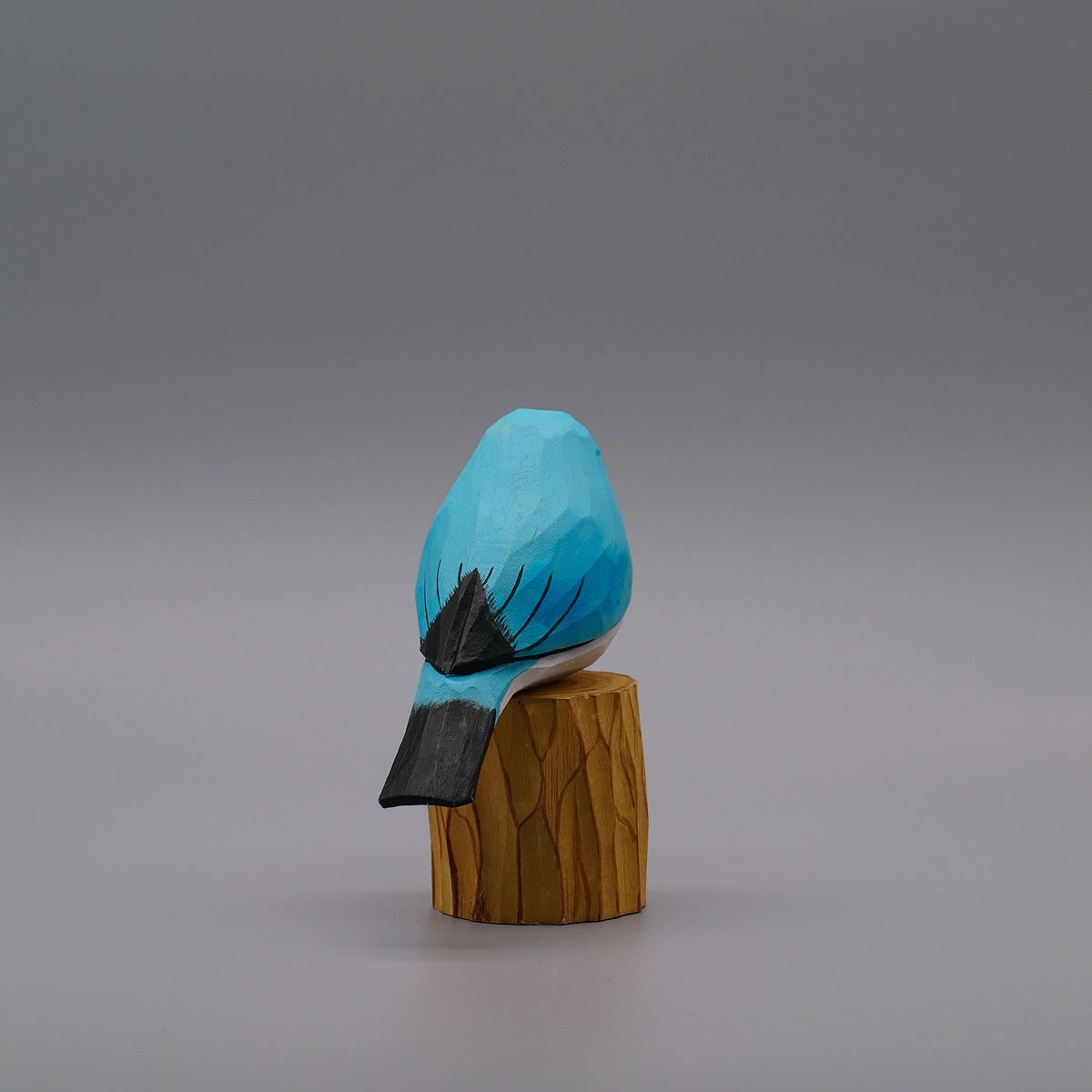 Classic Mountain Bluebird