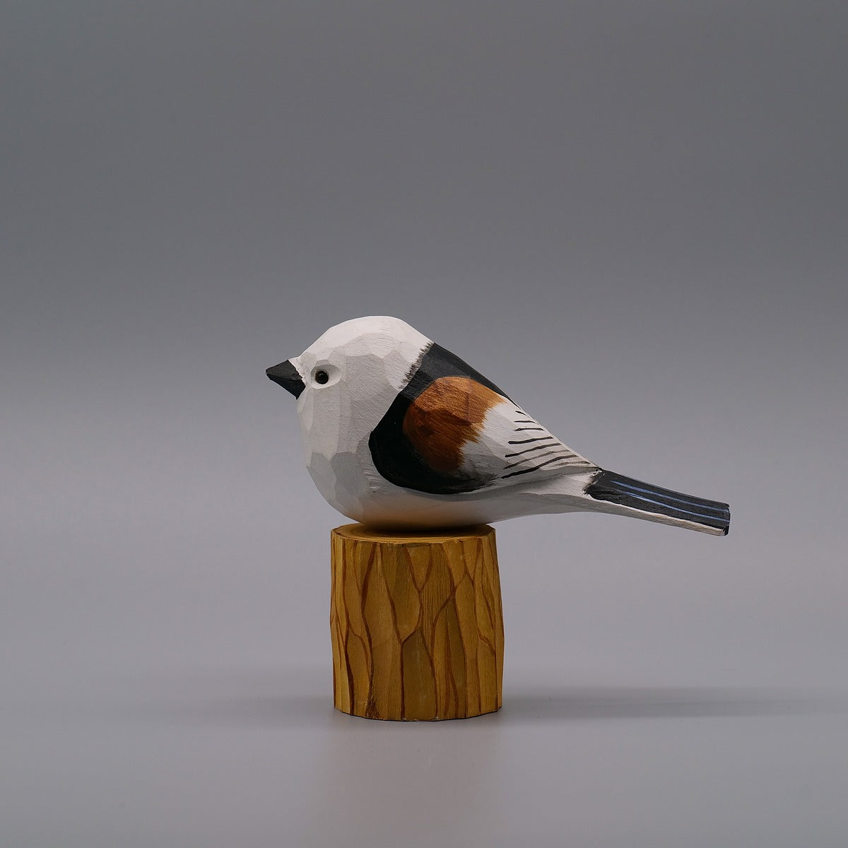 Classic Long-Tailed Tit