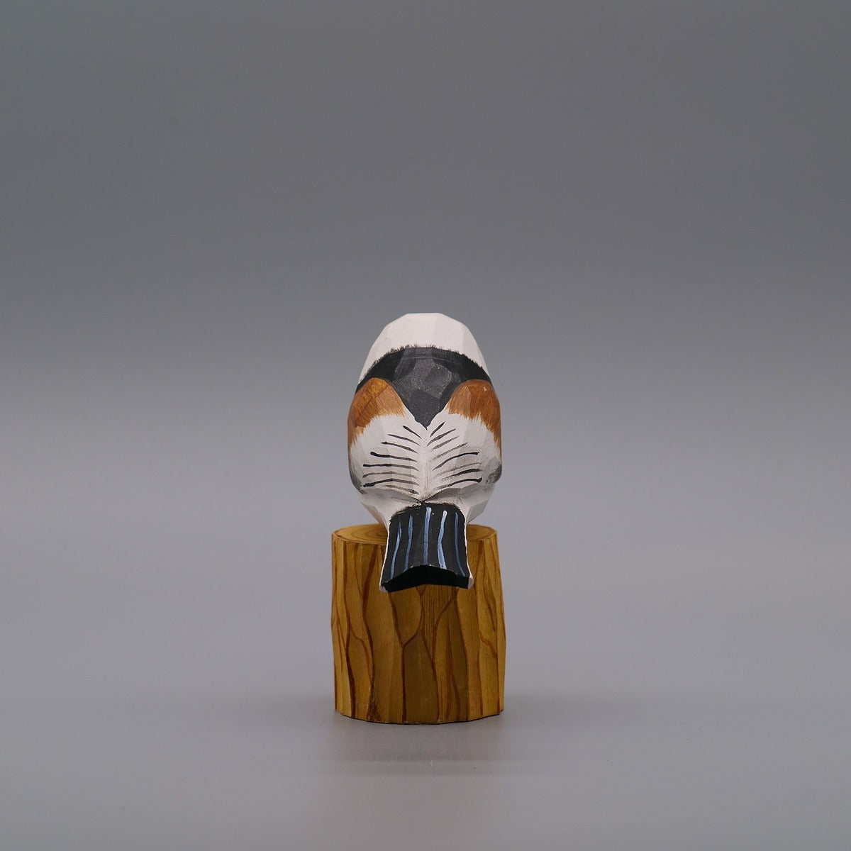 Classic Long-Tailed Tit
