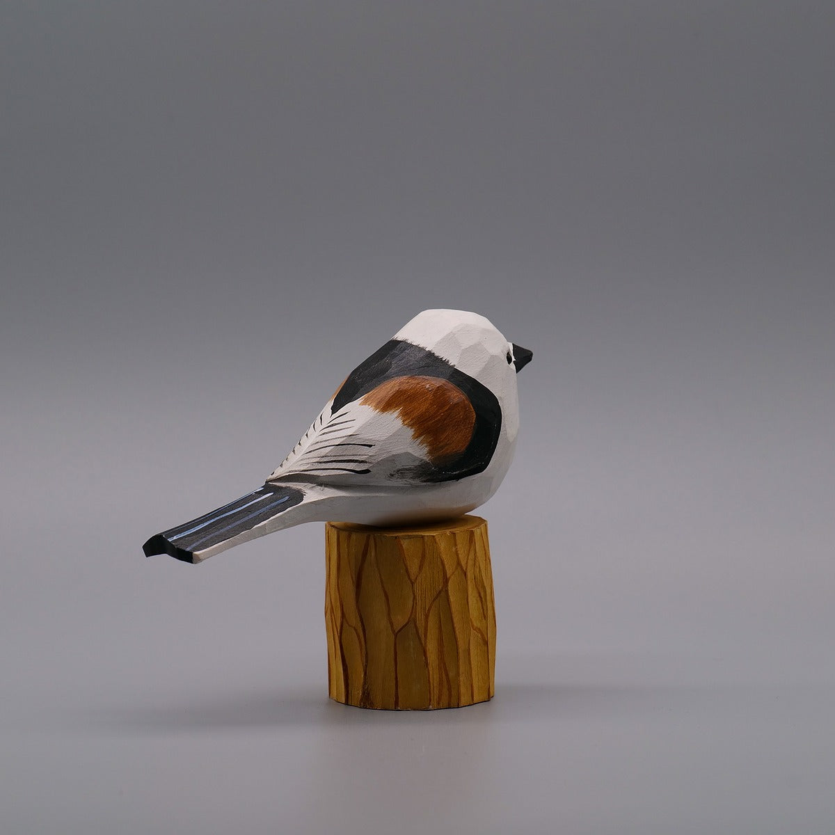 Classic Long-Tailed Tit