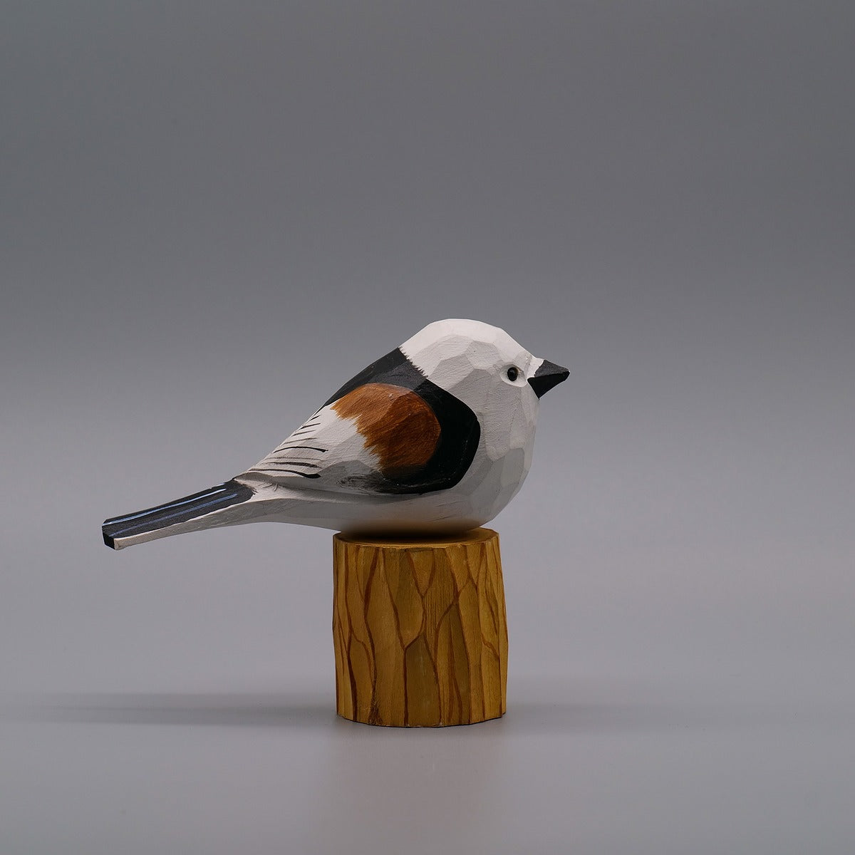 Set of 30 Birds