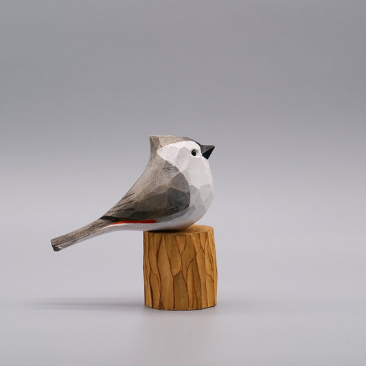 Classic Tufted Titmouse