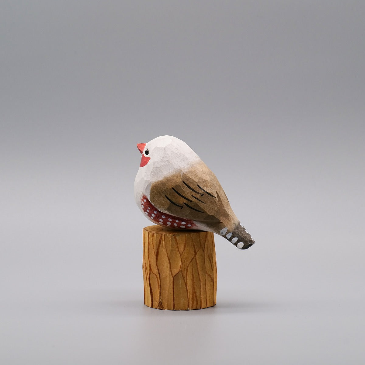Male and Female Zebra Finch Set