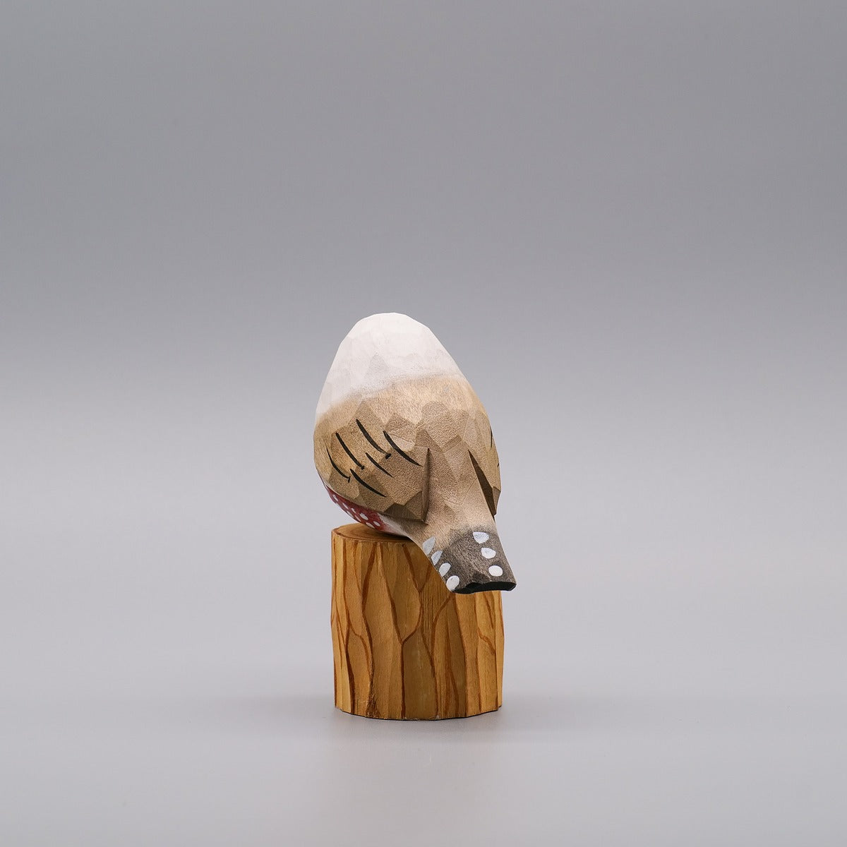 Classic White Zebra Finch