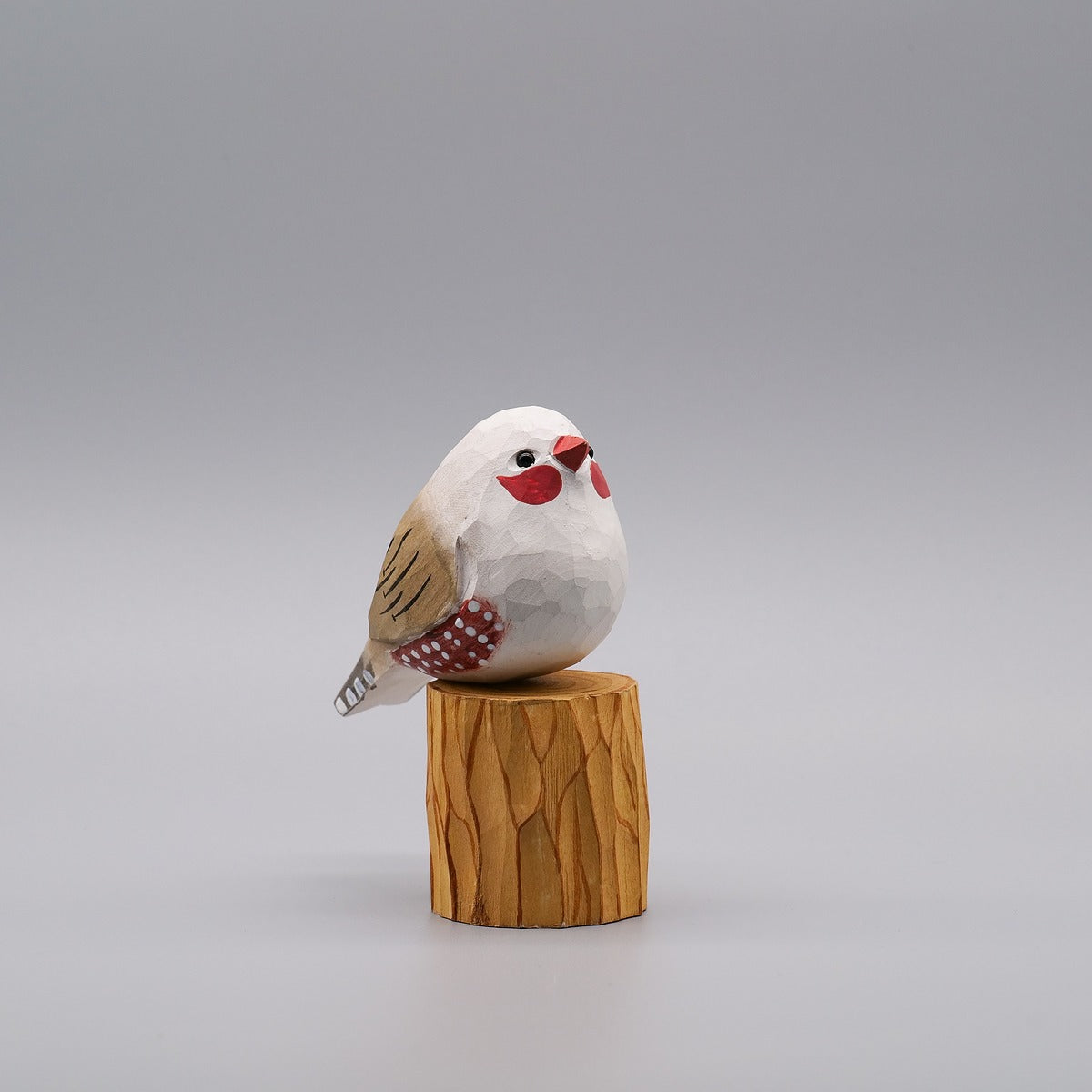 Classic White Zebra Finch
