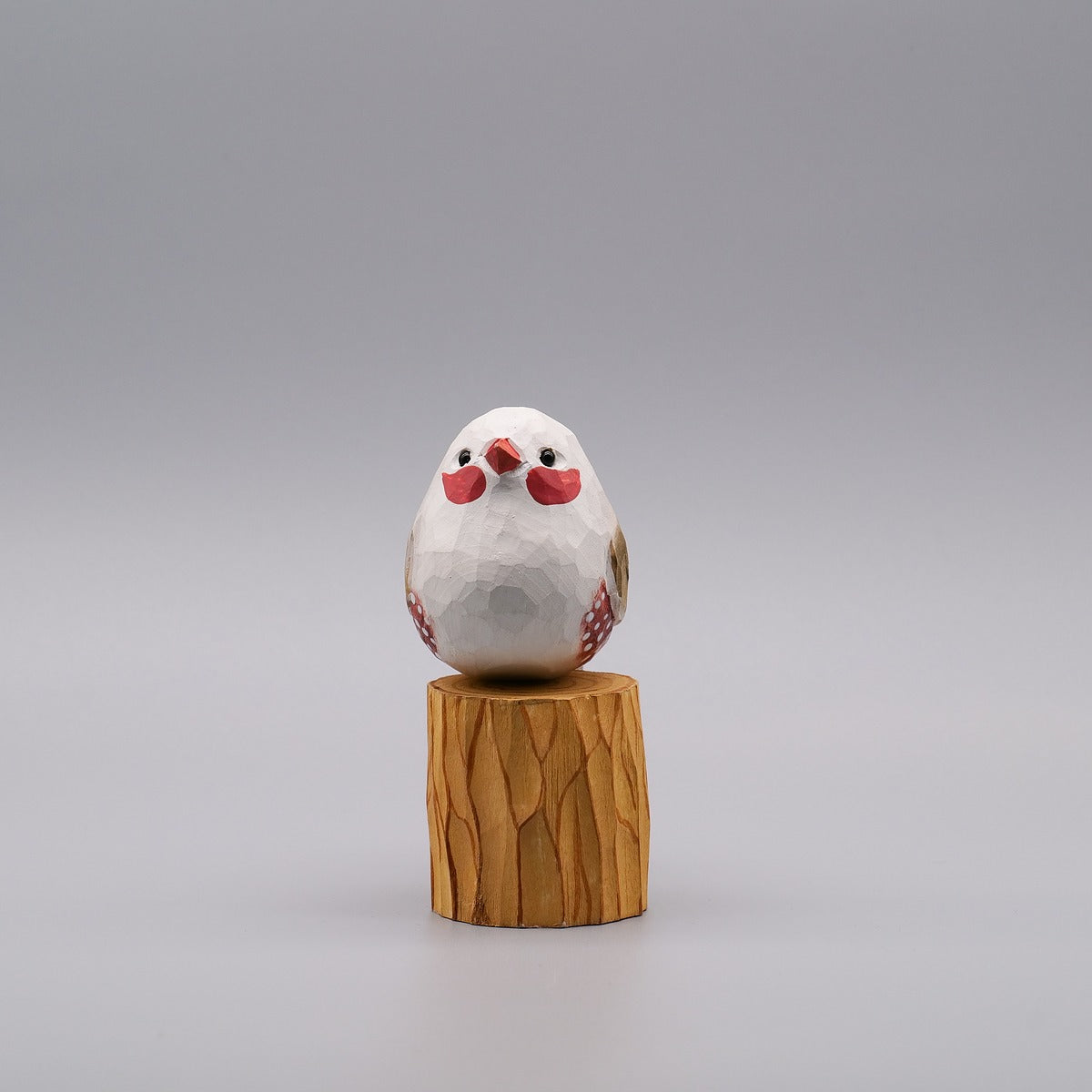 Classic White Zebra Finch