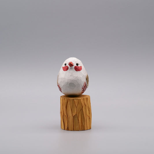 Classic White Zebra Finch