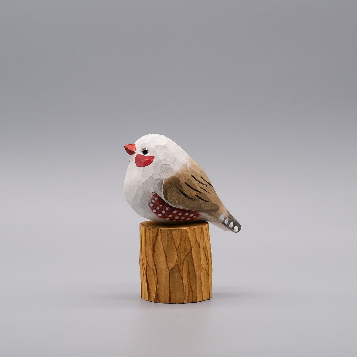 Classic White Zebra Finch