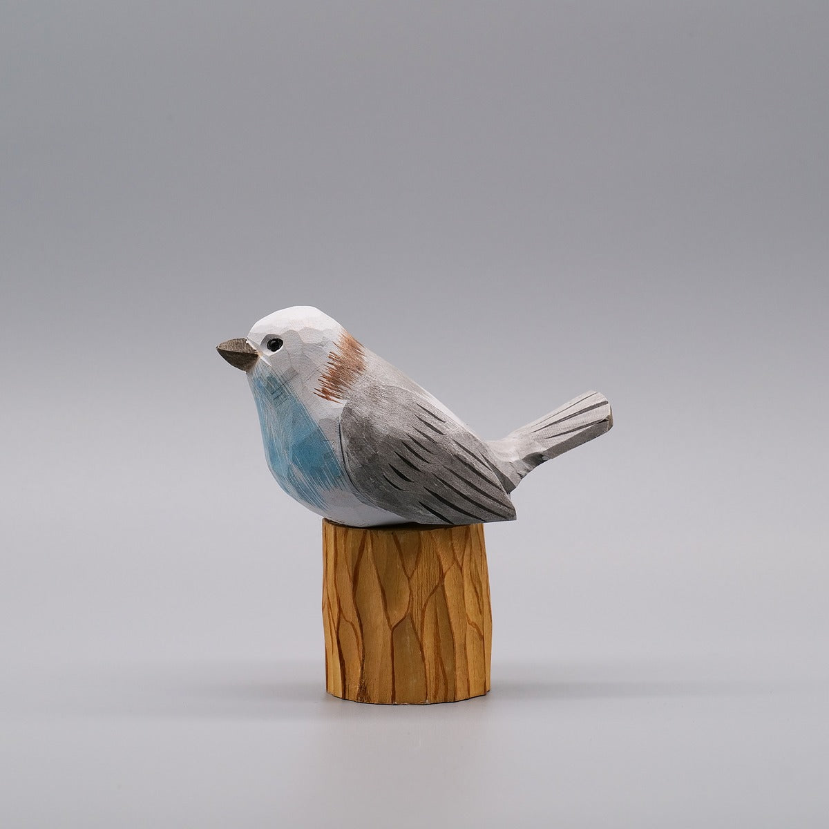 Classic Flycatcher