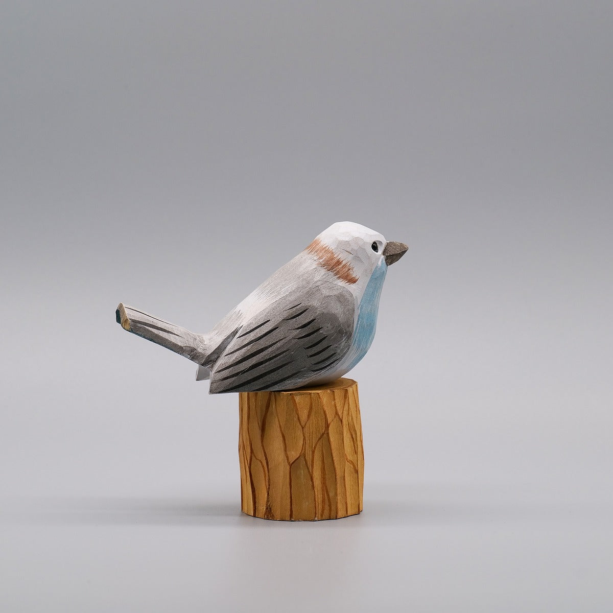 Classic Flycatcher